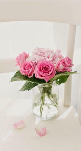 Flower iPhone Wallpaper Top Background