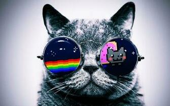 Cat Close Up Fun Glasses Gray