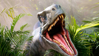 Jurassic Park At Universal S Islands Of Adventure