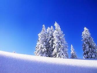 Seasons Weegee