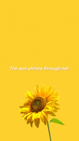 Sunflower Yellow Aesthetic Wallpaper