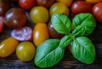 Photo Tomato Fresh Food Wallpaper Background Basil Max Pixel