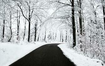Winter Desktop Pc And Mac Wallpaper