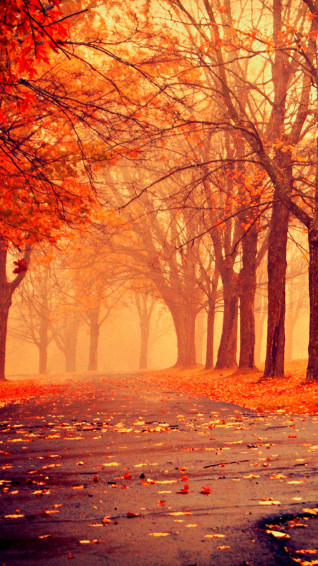 Fall Wallpaper Mobile HD