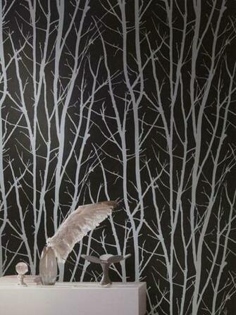 Birch Tree Wallpaper From Shand Kydd Imagination Pattern Sk175201