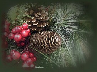 Pine Cones And Berries For Christmas Wallpaper