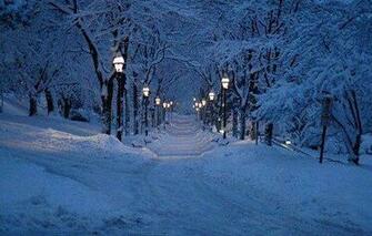 Winter Wallpaper