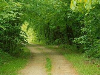 Hiking Trail Pictures Photos
