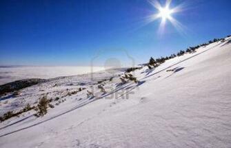 Sunny Winter Day Wallpaper Beautiful