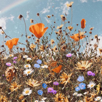 Best Of Aesthetic Wallpaper Boho 4k