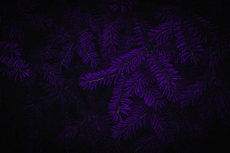 Dark Purple Background Wallpaper
