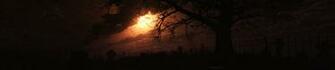 Sun Birds Mood Trees Sky Wallpaper