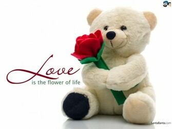 Love Wallpaper