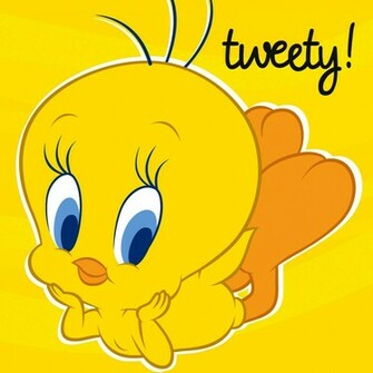 Beautiful Wallpaper Tweety