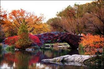 Fall In Central Park By Vildkatt