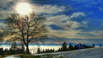 Sunny Day Amazing Beautiful Blue Clouds Fence Flowers