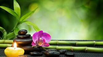 Feng Shui 4k Ultra HD Wallpaper Net