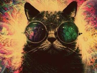 Psychedelic Cat Projects To Create