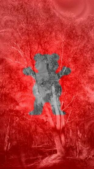 Xist Supreme Wallpaper iPhone Year Of Clean Water