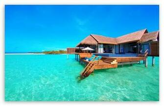 Water Bungalows On A Tropical Island HD Wallpaper For Standard