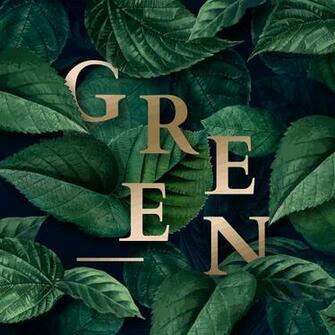 Green Jungle Background Royalty Vector