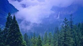 Category Nature HD Wallpaper Subcategory Spring