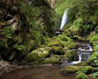 Jungle Waterfall Desktop Wallpaper Pre Wallcaper Net