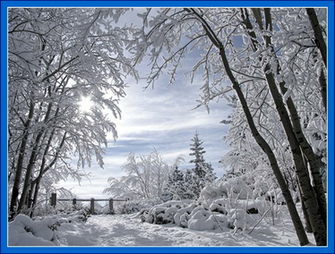 Cold Winter Morning Brrr