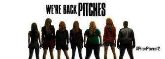 Pitch Perfect Movie Banner HD Wallpaper Stylish