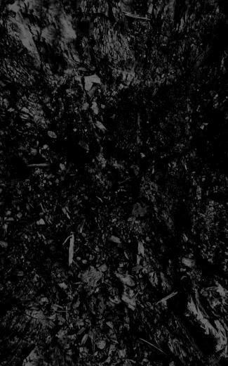 Wallpaper Dark Black And White Abstract
