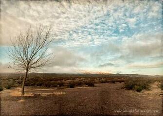 Cloudy Desert