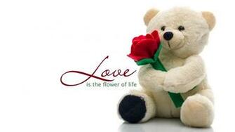 Teddy Bear Love Wallpaper