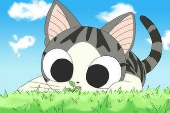 Pasad Un Feliz Domingo O Como Dir A Chi Miau