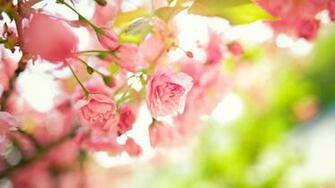Wallpaper Desktop Vintage Ramas Luxfon Flores