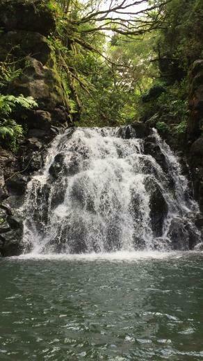 Ice Pond In Kalihi Valley Oahu Hawaii Waterfalls Waterfall