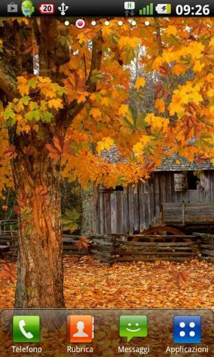 Description Autumn Is A Live Wallpaper New This