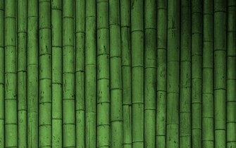 Bamboo Wallpaper Green