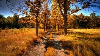 Abstract Widescreen Fall Wallpaper X HD