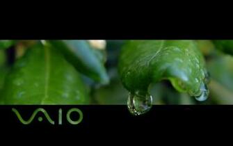 Vaio Wallpaper HD 1080p Sony
