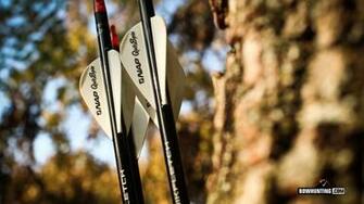 Background Archive Bowhunting
