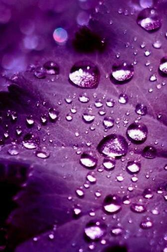 iPhone Wallpaper Aurora Dew Drop Mobile Phones Watches