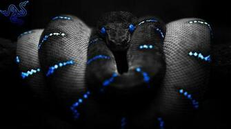 Razer Blue Wallpaper X Net