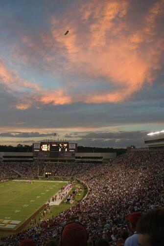 Desktop Wallpaper Fsu