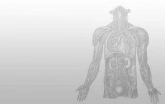 Anatomy Biology Wallpaper