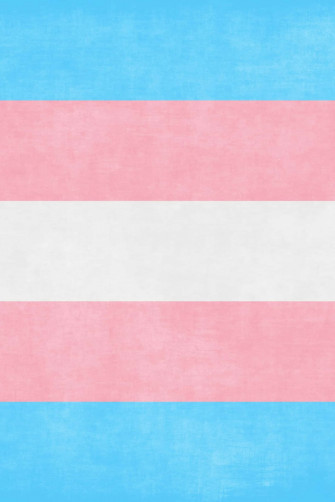 Trans Flag Wallpaper