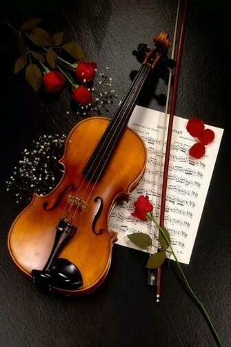 Violin Rose Wallpaper iPhone Violins