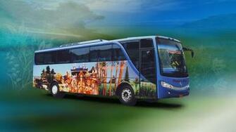 Bus Wallpaper Malam Patas Pariwisata