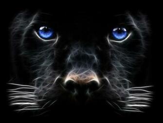 Big Cat HD Wallpaper Dawallpaperz