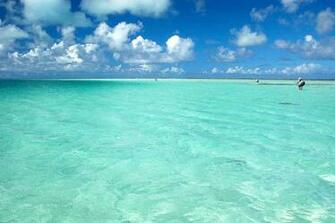Saltwater Fish Wallpaper Fly Fishing