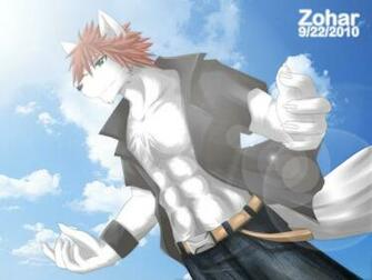 Wolf Furry Wallpaper